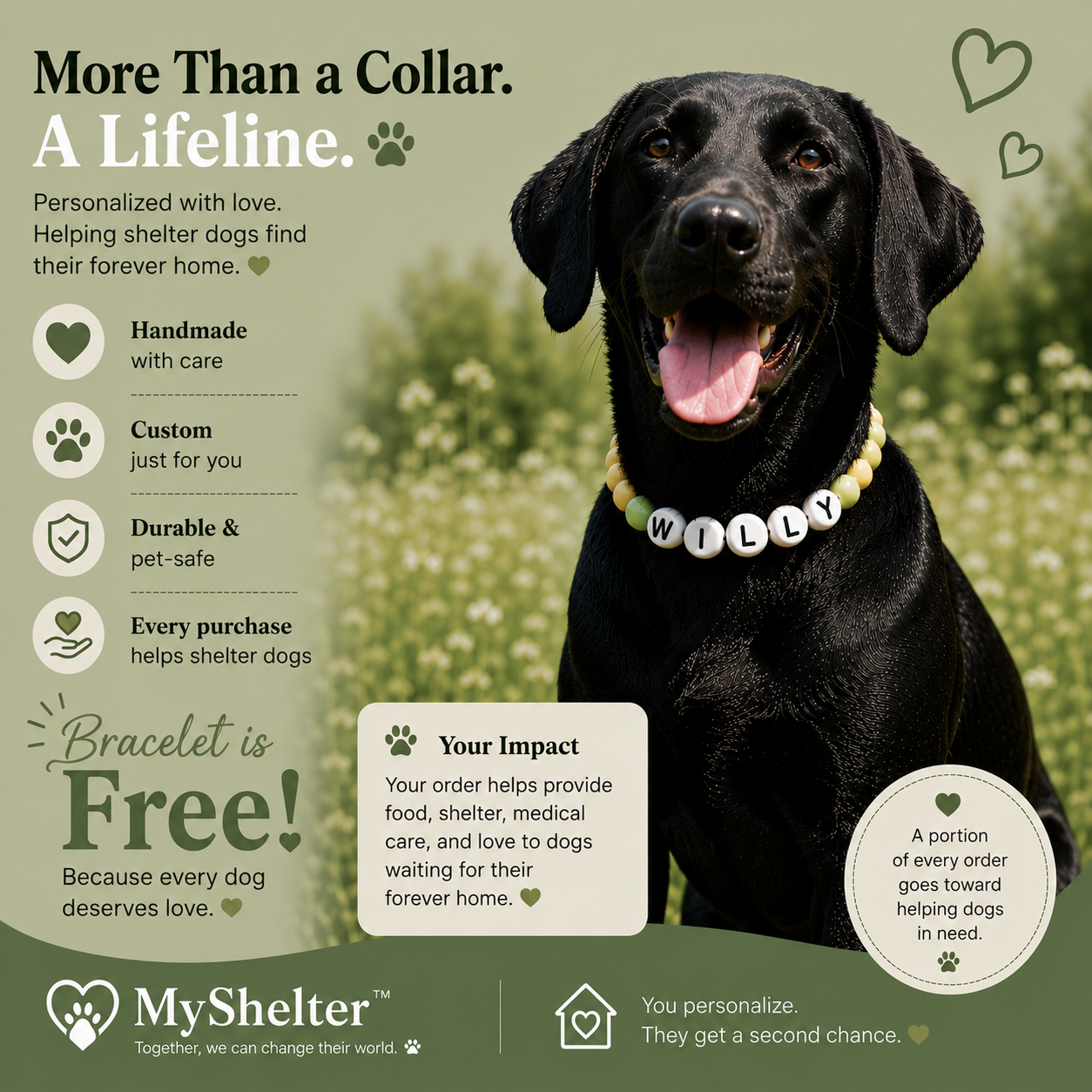 MyShelter™ Matching Collar & Bracelet