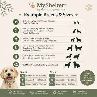 MyShelter™ Matching Collar & Bracelet